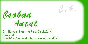 csobad antal business card